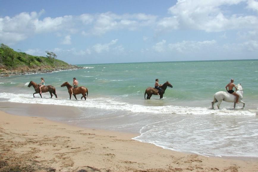 Expérience en option Guadeloupe Randonnée à cheval