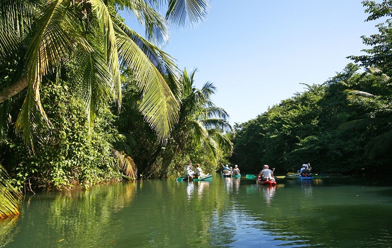 Expérience incluse Guadeloupe Hotel Au Jardin des Colobris Ecolodge _ Spa Kayak