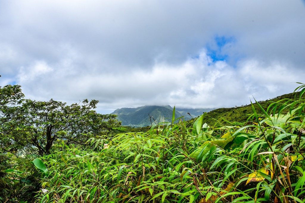 Expérience incluse Guadeloupe Randonnée Volcan de la Soufrière