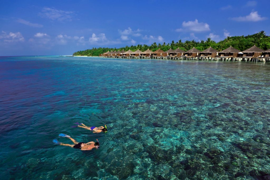 Parentheses Voyages aux Maldives Hotel Kuramathi Snorkeling