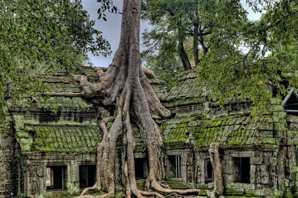 ‘Angkor en tuk tuk et vélo