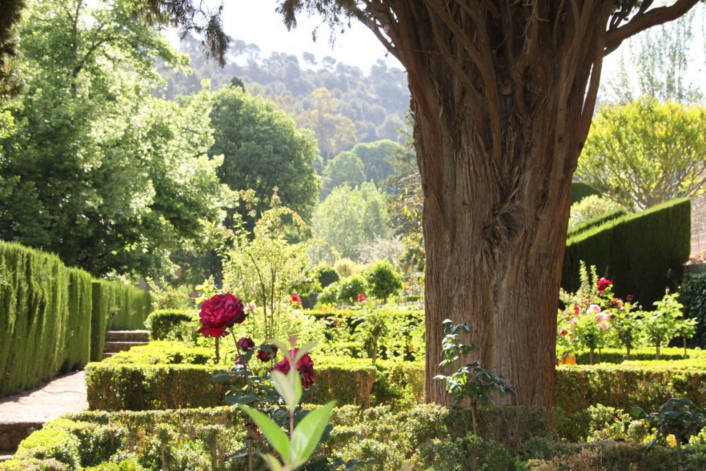 Road Trip Andalousie Grenade Jardin Alhambra