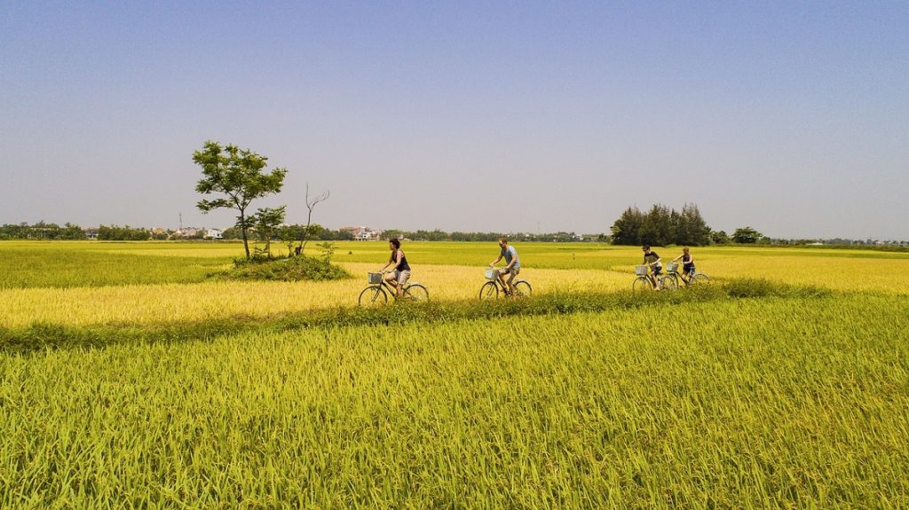 Expérience 12 Sri Lanka Balade guidée à vélo dans les rizières
